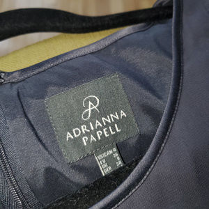 Adrianna Papell Gray Sheath Dress